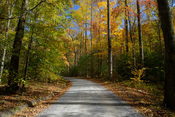 Autumn backroad in Great Smoky Mountains