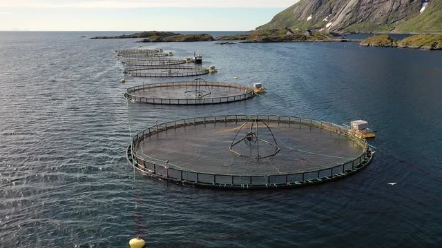 Aerial footage Farm salmon fishing in Norway