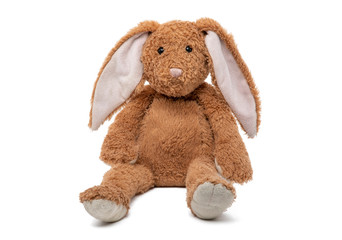 Teddy rabbit