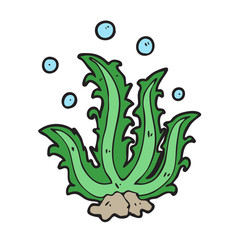 digitally drawn illustration seaweed design. hand drawing style