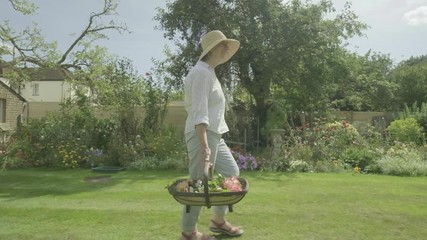Steady cam view of a senior caucasian woman walking through her garden themes of retirement gardening active senior