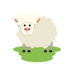 cute little sheep animal farm