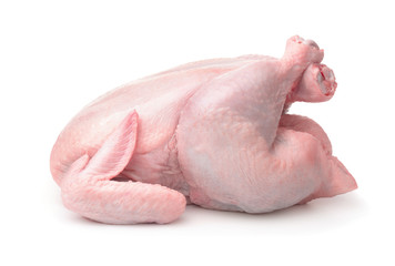 Side view of whole raw chicken