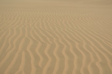 Namibia (2019) - Sandwich Beach