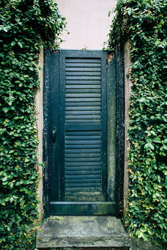 old door with ivy found in the historic new orleans garden district