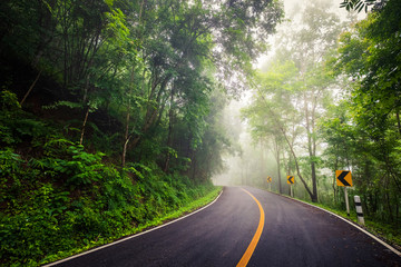 Obraz premium Foggy Road Through the Forest