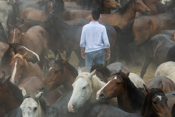 Hombre entre caballos salvajes