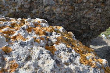 A sulphated rough rock, Algeria