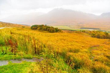 Autumn and fog in the Scottish Highlands 