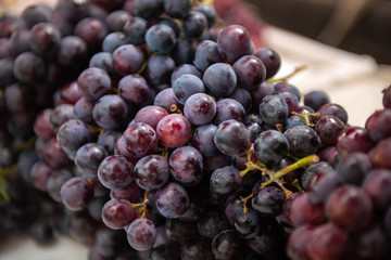 Harvested Grape fruits at the market for sale.