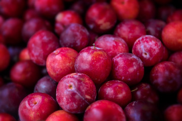 Plum fruits group in the market.