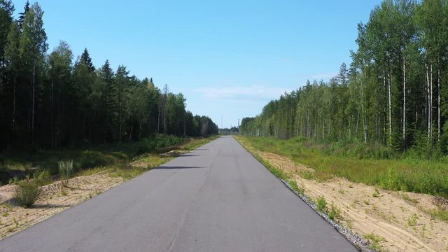 Aerial view from drone on asphalt road through pine forest