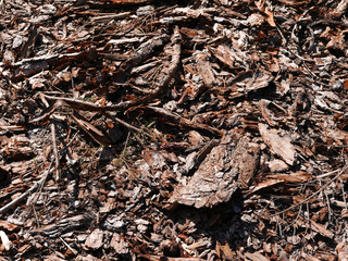 foto di trucioli di legno di tronchi tagliati