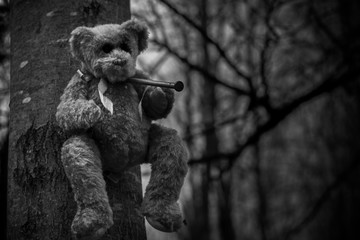 Teddy bear nailed to a tree