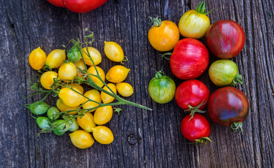 Colorful organic heirloom tomatoes