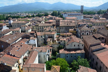 Fototapeta na wymiar Vue Panoramique Lucques Italie