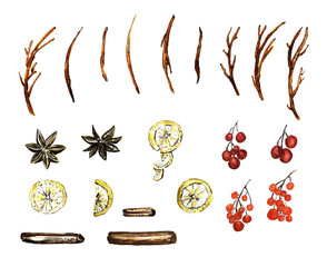 watercolor spice set