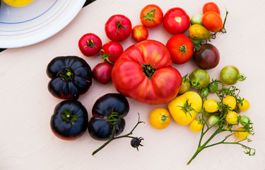 Colorful organic heirloom tomatoes
