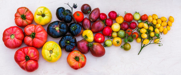 Fototapeta na wymiar Colorful organic heirloom tomatoes