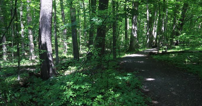Sacred Grove LDS Church forest path Palmyra New York. Western New York near the home of Joseph Smith. Founder and Prophet of the Church of Jesus Christ of Latter-day Saints