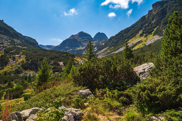 Fototapeta na wymiar Amazing Summer landscape of Malyovitsa peak, Rila Mountain, Bulgaria