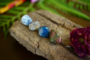 Witches mini crystal set Chrysocolla, Dendritic Agate, Unakite and Ocean Jasper. Small mixture of tumbled crystals. Higher healing bundle on top of fresh ferns, flowers and wood. Crystals and plants