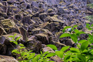 Obraz premium Rocks gather moss and shine in the morning sun near Brandywine falls