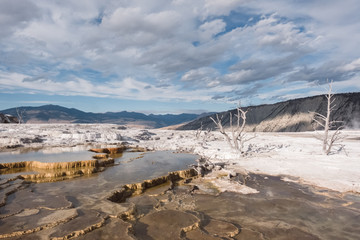Geothermal pools in Yellowstone National Park.