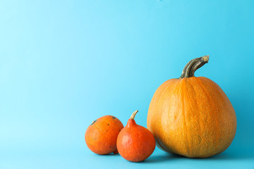 Pumpkins on blue background, space for text