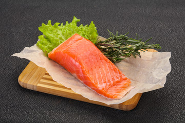 Piece of raw salmon