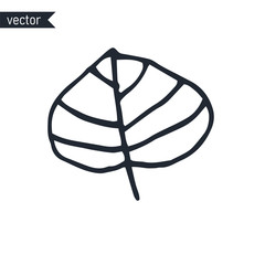 Primitive hand drawn birch leaf outline isolated on white background, vector illustration.