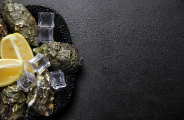 Oysters plate with lemon and ice cubes on dark stone background. Served table with raw oysters...