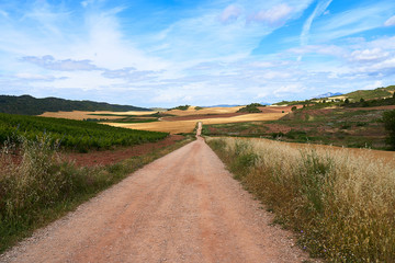 Following the way of Santiago in Spain, path toward the future. Destiny concept