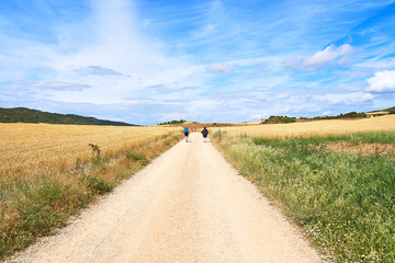 Pilgrims walking the Camino de Santiago in Spain, immersed in a peaceful countryside, surrounded by meadow fields in a beautiful summer day under a blue sky scattered with expressive clouds