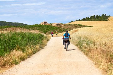 Obraz premium A solitary cyclist along a path of the Camino de Santiago in Spain immersed in the peaceful nature of wheat fields in a beautiful summer day with people walking on the background