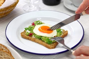 avocado toast open sandwich variety