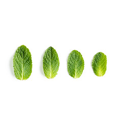 Mint leaves isolated on white background. Set of peppermint. Mint Pattern. Flat lay. Top view.