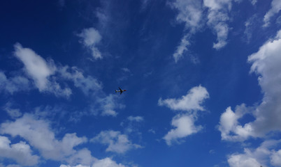 valley in the mountains in summer