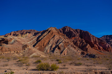 Desert of Argentina