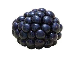 Blackberries on a macro scale. The photo was taken by stacking method