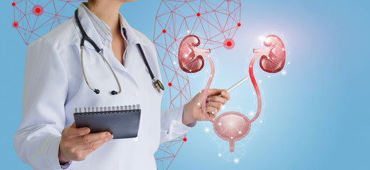 Doctor shows urinary system and problems in the ureter .