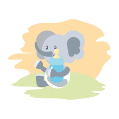 cute elephant baby animal and bottle milk