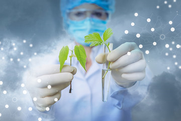 The concept biotechnologische research .