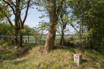Wildschweinzaun an der Grenze zwischen D&auml;nemark und Deutschland