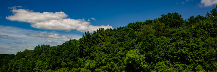White Clouds in the Blue Sky and Deciduous Forest on the Hill, Sunny Day in the Countryside.