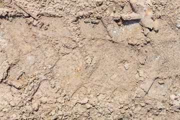 Embossed Wheel Tracks Into Rural Dirt Road