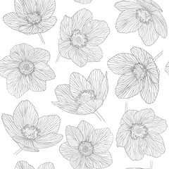 Seamless pattern outline flowers dryas, black line on white background