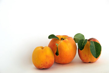 Red-yellow peach fruits on a white background. Summer background.