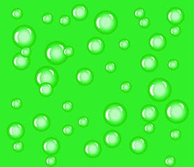 Water drops on a green background