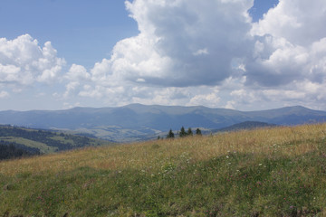  Carpathian landscapes. Meadows, hills, forests and mountains of the Carpathians.